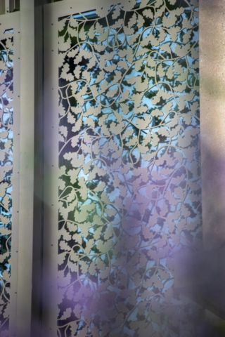 architectural photographer, David Chatfield